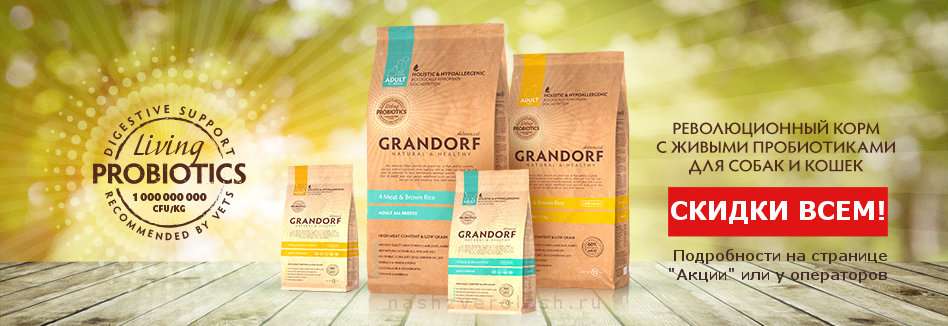 Grandorf Для Кошек Купить В Новосибирске